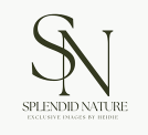 Logo Splendid Nature